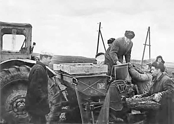 Иллюстрация к книге — С трудом о прошлом, о былом. Очерки о жителях д. Верхние Таволги [i_199.jpg]