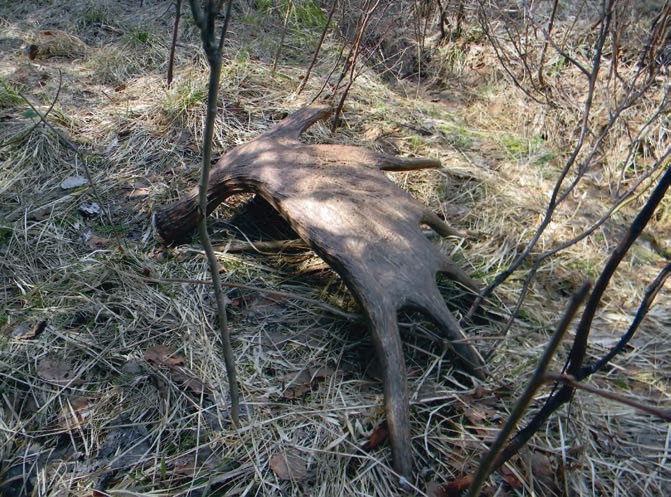 Иллюстрация к книге — В глуши таёжной (сборник) [i_021.jpg]