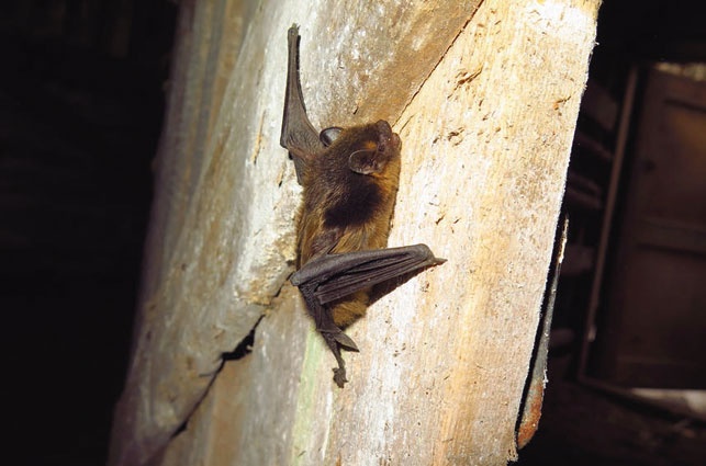 Иллюстрация к книге — В глуши таёжной (сборник) [i_034.jpg]