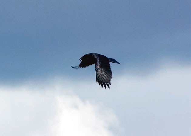 Иллюстрация к книге — В глуши таёжной (сборник) [i_053.jpg]