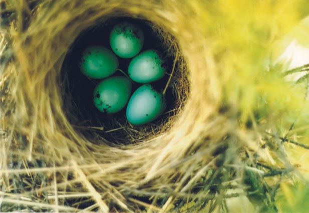 Иллюстрация к книге — В глуши таёжной (сборник) [i_061.jpg]