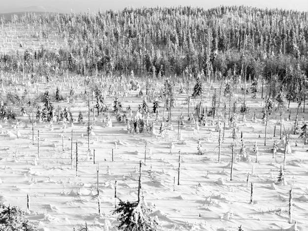 Иллюстрация к книге — В глуши таёжной (сборник) [i_066.jpg]