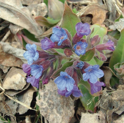 Иллюстрация к книге — В глуши таёжной (сборник) [i_069.jpg]