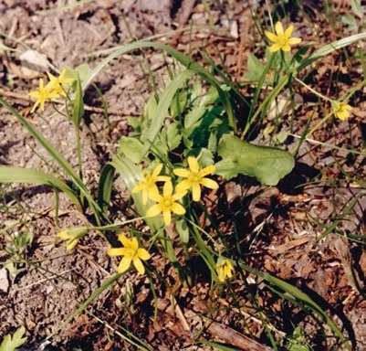 Иллюстрация к книге — В глуши таёжной (сборник) [i_079.jpg]