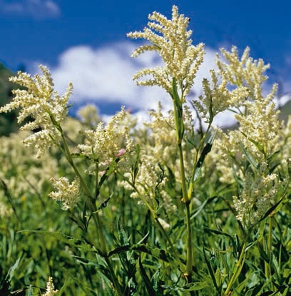 Иллюстрация к книге — В глуши таёжной (сборник) [i_088.jpg]