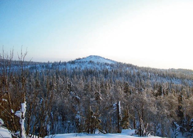 Иллюстрация к книге — В глуши таёжной (сборник) [i_089.jpg]