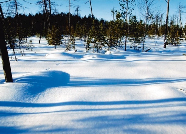 Иллюстрация к книге — В глуши таёжной (сборник) [i_097.jpg]