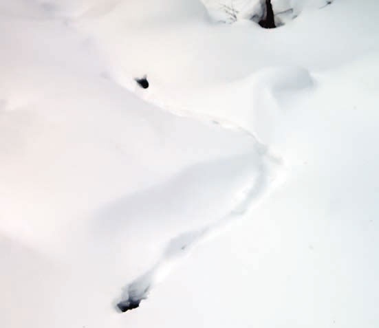 Иллюстрация к книге — В глуши таёжной (сборник) [i_103.jpg]