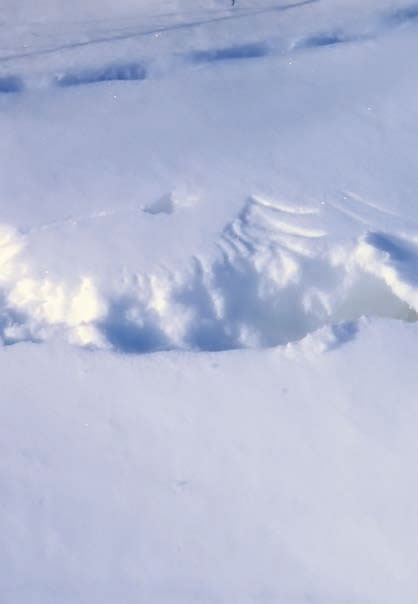 Иллюстрация к книге — В глуши таёжной (сборник) [i_115.jpg]