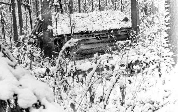 Иллюстрация к книге — В глуши таёжной (сборник) [i_136.jpg]