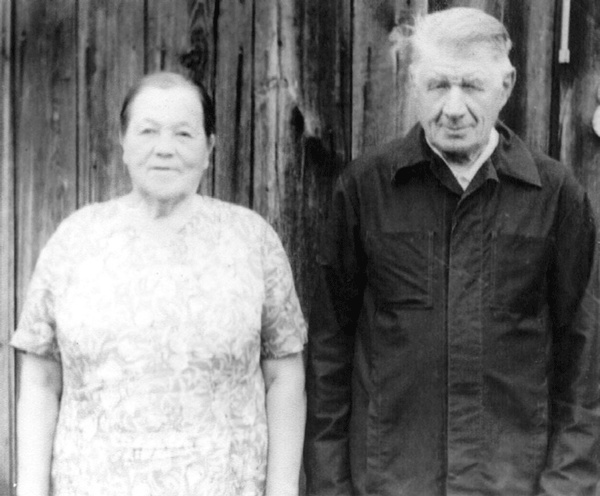 Иллюстрация к книге — Солнце над лесом (сборник) [i_004.jpg]