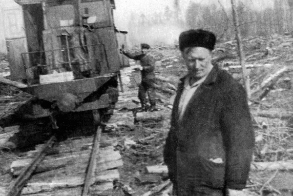 Иллюстрация к книге — Солнце над лесом (сборник) [i_009.jpg]