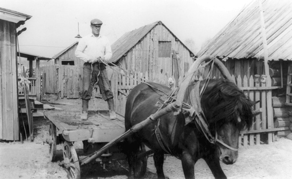 Иллюстрация к книге — Солнце над лесом (сборник) [i_018.jpg]