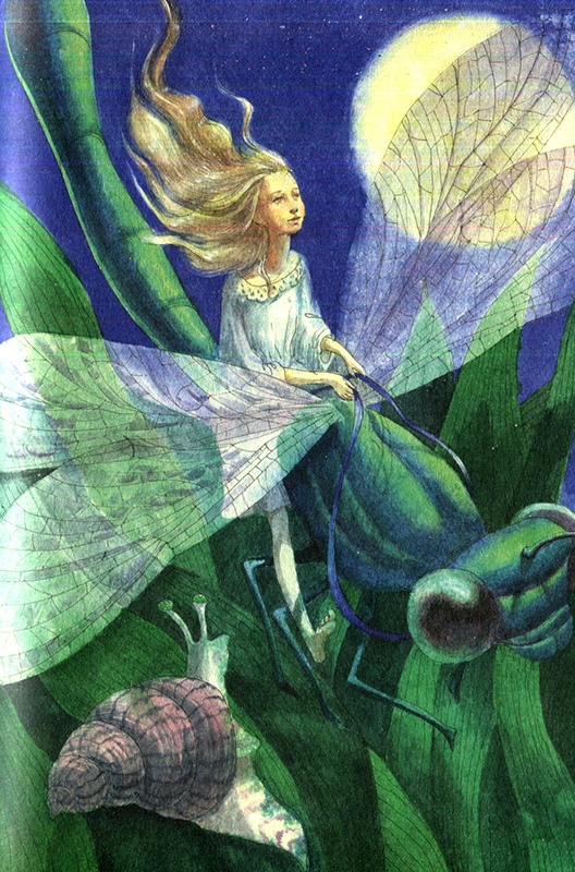 Иллюстрация к книге — Тайна жемчужной бухты [i_010.jpg]