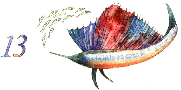 Иллюстрация к книге — Тайна жемчужной бухты [i_021.jpg]