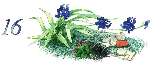 Иллюстрация к книге — Тайна жемчужной бухты [i_026.jpg]