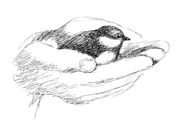 Иллюстрация к книге — Один рыжий, один зеленый. Повести и рассказы. [i_003.jpg]