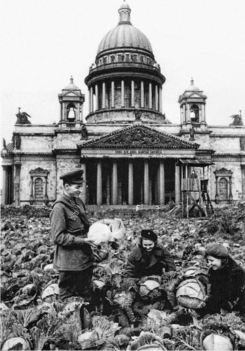 Иллюстрация к книге — Медаль «За оборону Ленинграда» [i_017.jpg]