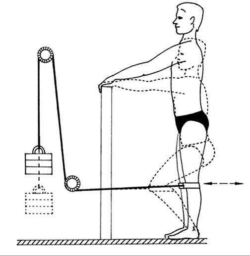Иллюстрация к книге — Здоровый позвоночник [i_028.jpg]