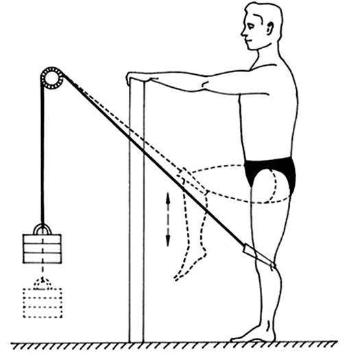 Иллюстрация к книге — Здоровый позвоночник [i_032.jpg]