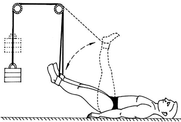 Иллюстрация к книге — Здоровый позвоночник [i_053.jpg]