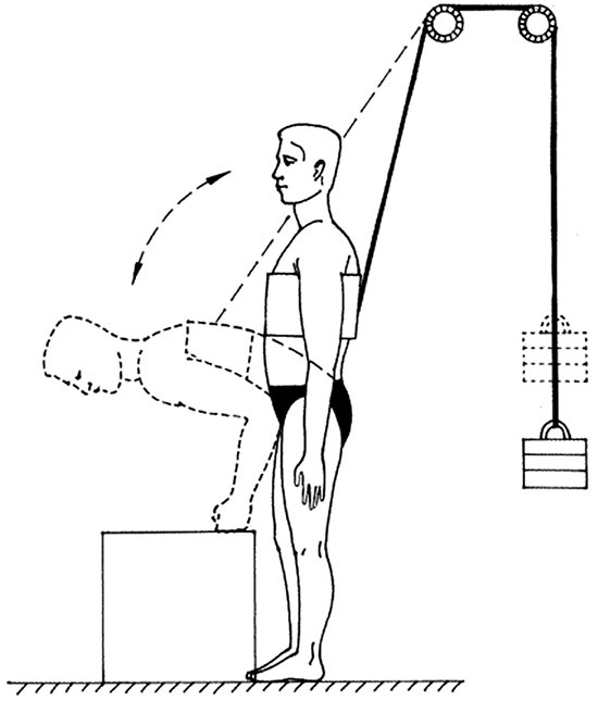 Иллюстрация к книге — Здоровый позвоночник [i_056.jpg]
