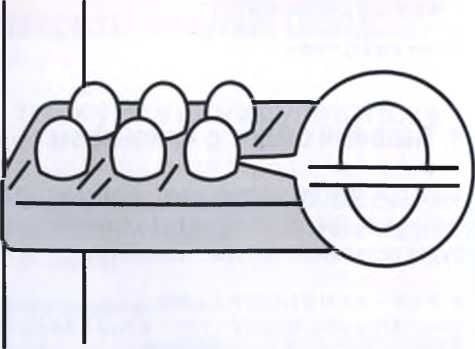Иллюстрация к книге — Маленькие японские хитрости [i_023.jpg]