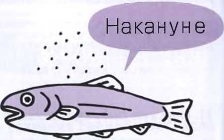 Иллюстрация к книге — Маленькие японские хитрости [i_056.jpg]