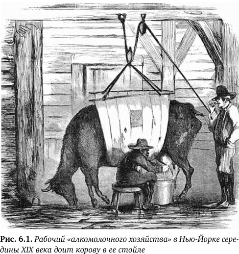 Иллюстрация к книге — Состав. Как нас обманывают производители продуктов питания [i_011.jpg]