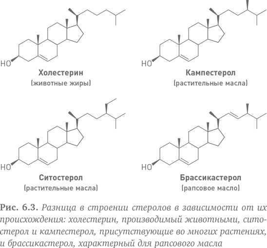 Иллюстрация к книге — Состав. Как нас обманывают производители продуктов питания [i_013.jpg]
