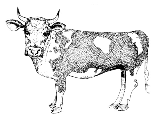 Иллюстрация к книге — Состав. Как нас обманывают производители продуктов питания [i_044.jpg]