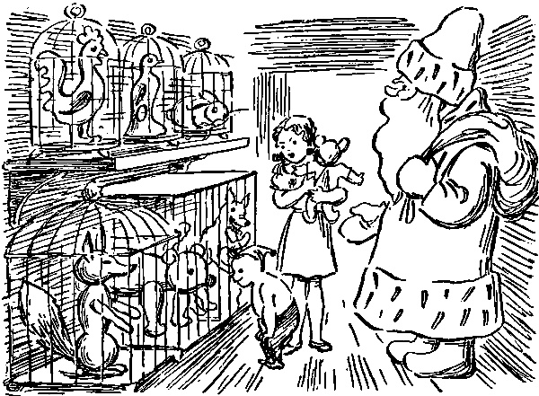 Иллюстрация к книге — В Стране Бабушки Куклы, или Дом с волшебными окнами [pic_11.jpg]