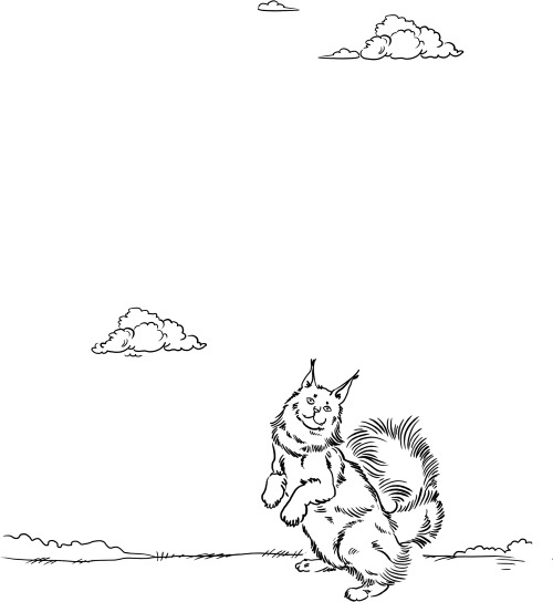 Иллюстрация к книге — О людях, котах и маленьких собаках [i_032.jpg]