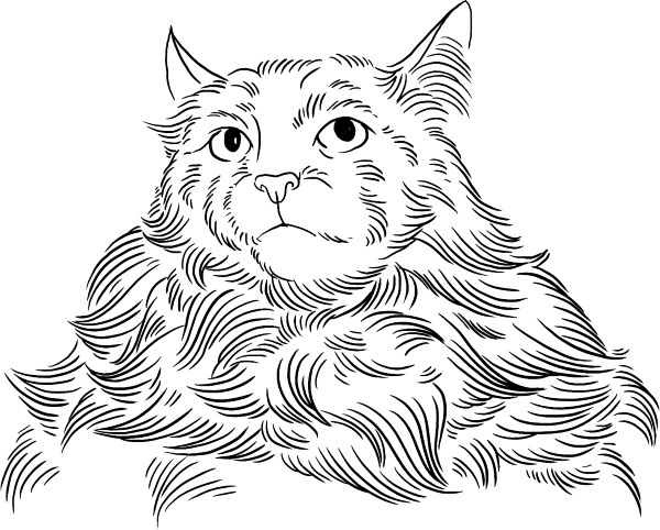 Иллюстрация к книге — О людях, котах и маленьких собаках [i_036.jpg]