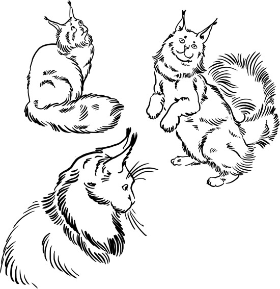 Иллюстрация к книге — О людях, котах и маленьких собаках [i_042.jpg]