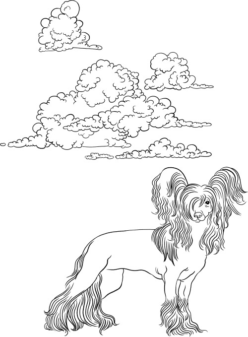 Иллюстрация к книге — О людях, котах и маленьких собаках [i_046.jpg]