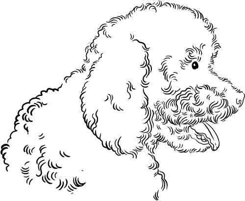 Иллюстрация к книге — О людях, котах и маленьких собаках [i_047.jpg]