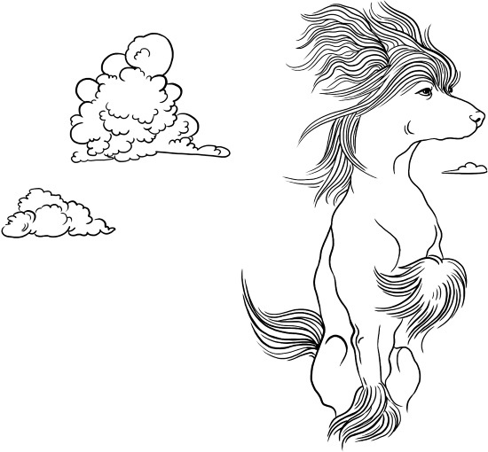 Иллюстрация к книге — О людях, котах и маленьких собаках [i_049.jpg]