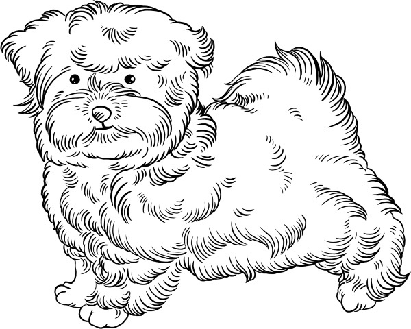 Иллюстрация к книге — О людях, котах и маленьких собаках [i_051.jpg]