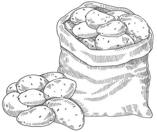 Иллюстрация к книге — Самая полная книга разумно ленивого дачника. Секреты легкого урожая [i_003.jpg]