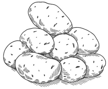 Иллюстрация к книге — Самая полная книга разумно ленивого дачника. Секреты легкого урожая [i_004.jpg]