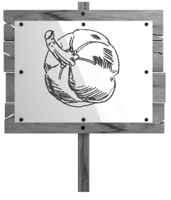 Иллюстрация к книге — Самая полная книга разумно ленивого дачника. Секреты легкого урожая [i_005.jpg]