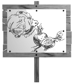 Иллюстрация к книге — Самая полная книга разумно ленивого дачника. Секреты легкого урожая [i_007.jpg]