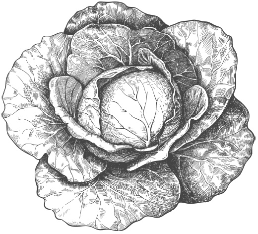 Иллюстрация к книге — Самая полная книга разумно ленивого дачника. Секреты легкого урожая [i_009.jpg]