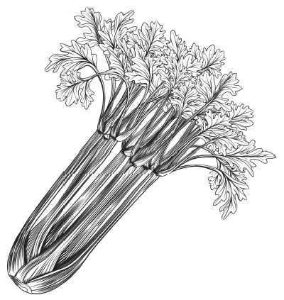 Иллюстрация к книге — Самая полная книга разумно ленивого дачника. Секреты легкого урожая [i_011.jpg]