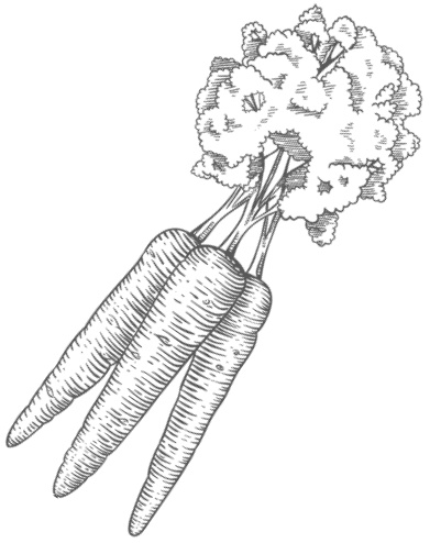 Иллюстрация к книге — Самая полная книга разумно ленивого дачника. Секреты легкого урожая [i_014.jpg]