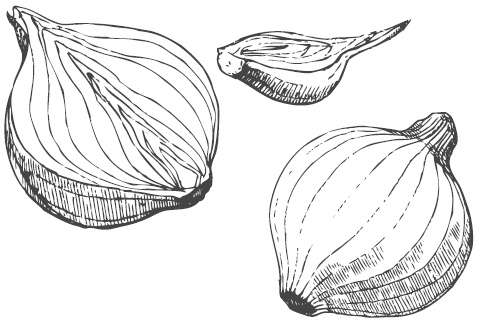 Иллюстрация к книге — Самая полная книга разумно ленивого дачника. Секреты легкого урожая [i_015.jpg]