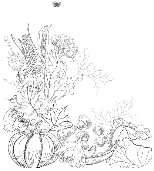 Иллюстрация к книге — Самая полная книга разумно ленивого дачника. Секреты легкого урожая [i_017.jpg]