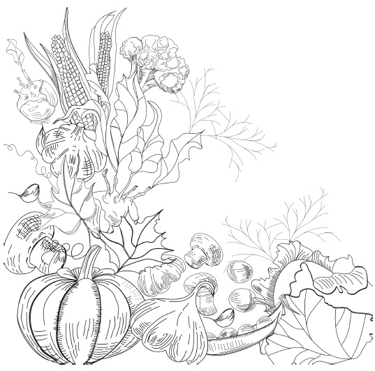 Иллюстрация к книге — Самая полная книга разумно ленивого дачника. Секреты легкого урожая [i_023.jpg]