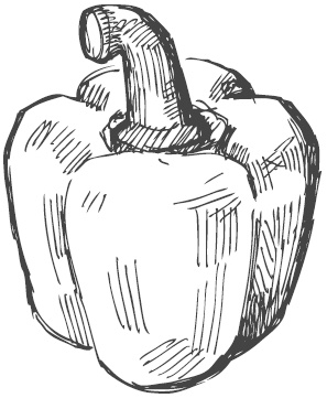 Иллюстрация к книге — Самая полная книга разумно ленивого дачника. Секреты легкого урожая [i_028.jpg]